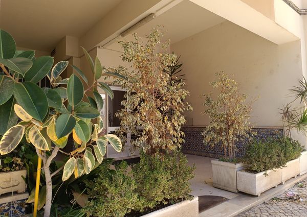 Apartamento T2 Remodelado e Mobilado no Moinho das Antas