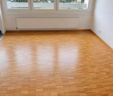 BEAUTIFUL 4-ROOM APARTMENT IN MEYRIN - Photo 4