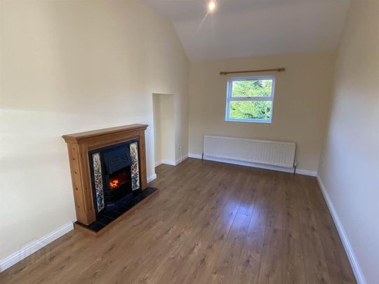 155 Ballydugan Road, Downpatrick, BT30 8HH - Photo 1