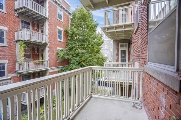 Appartement à louer - Montréal (Outremont) - Photo 1