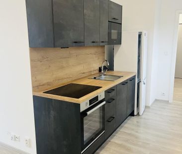 Pronájem bytu 1+kk 60 m2 - Fotografie 6
