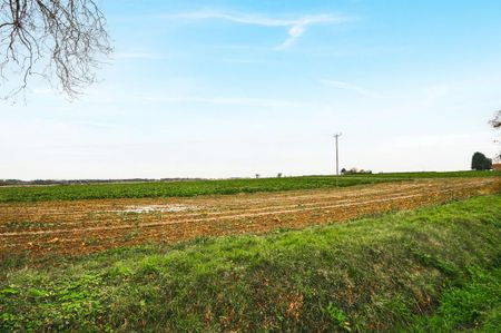 2 bedroom semi-detached house to rent - Photo 5