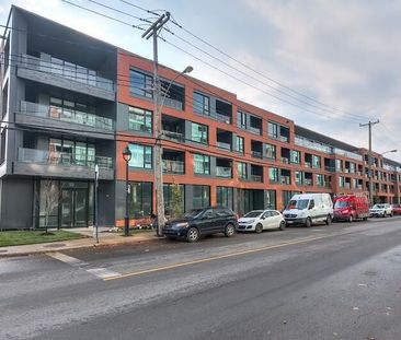 ERIN Condo apartments for rent in Pointe-Saint PSC - Photo 5