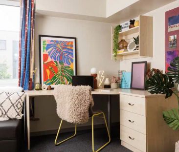 Premium Studio - Photo 6