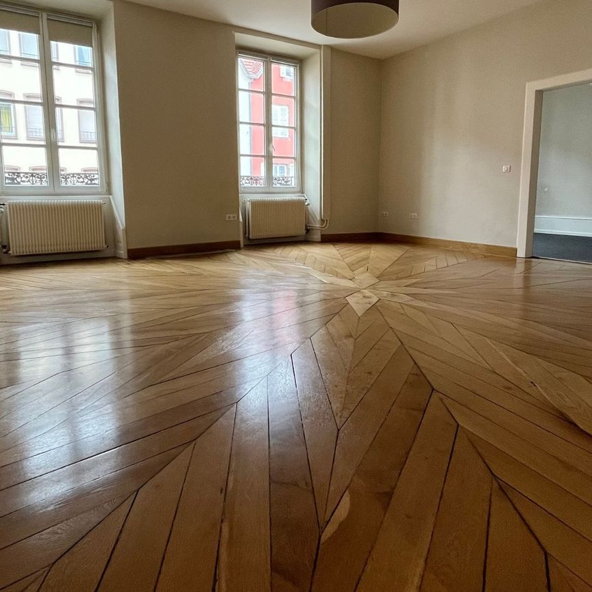 Location Appartement 6 pièces 156m² SAVERNE 67700 - Photo 1