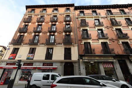 Apartamento de alquiler en Calle Calle Colegiata, 18, Embajadores - Lavapiés - Photo 2