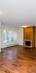 HUGE 1BR AVAILABLE NOW (FALSE CREEK ) - Photo 3