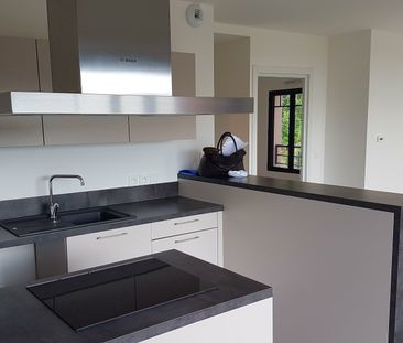 Location Appartement 2 pièces 52m² SANTENY 94440 - Photo 5