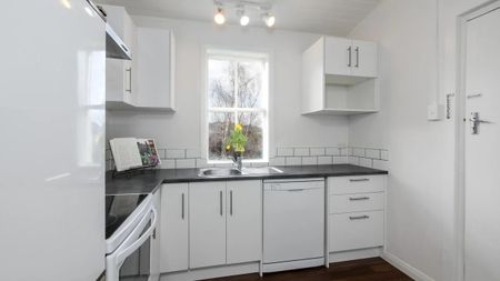 34 Galloway Street, Mornington, Dunedin - Photo 3