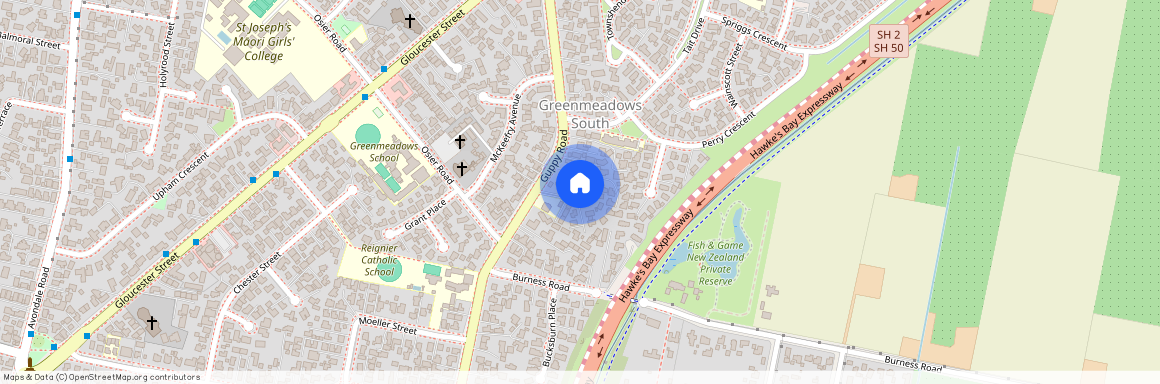 74 Guppy Road, Greenmeadows, Napier City