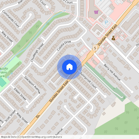 219 Dundas Street, Hamilton