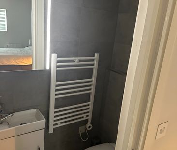 Studio Flat, Montserrat Road, SW15 - Photo 6