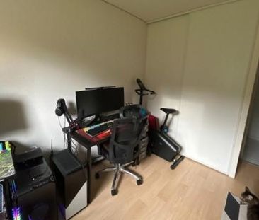 Location Appartement 3 pièces 56m² LAYRAC 47390 - Photo 3