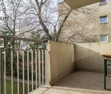 3 pok | Balkon | Parking | Obok Park | Borek - Photo 2