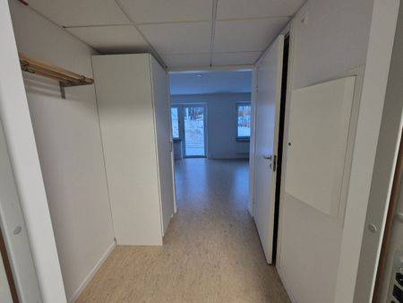 Taggsvampsvägen, Nykvarn - Photo 4