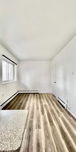 1 CH - 1 SDB - Montréal - $1,450 /mo - Photo 4