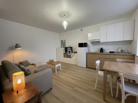 Location Appartement 1 pièce 25m² ALBI 81000 - Photo 4