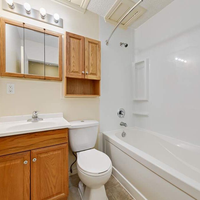 1 Bedroom - Photo 1