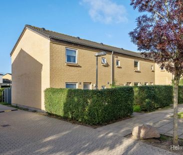 Hvenekildeløkken 23 B, st., 5240 Odense NØ - Foto 6