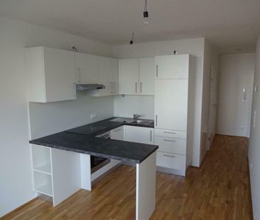 Prov-Frei - 2 Zimmer + Loggia in der Niesenbergergasse - Foto 3