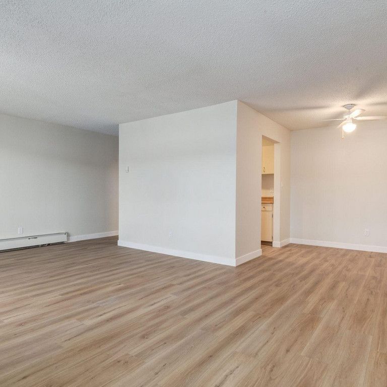 1 Bedroom - Photo 1