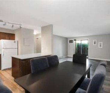 2 Bed, 2 Bath Lower Mission - Photo 2