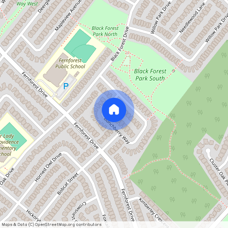 125 Bunchberry Way, Brampton