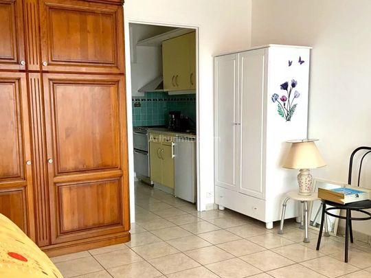 Location de vacances Appartement 1 pièces 25 m2 à Villeneuve-Loubet - Photo 1