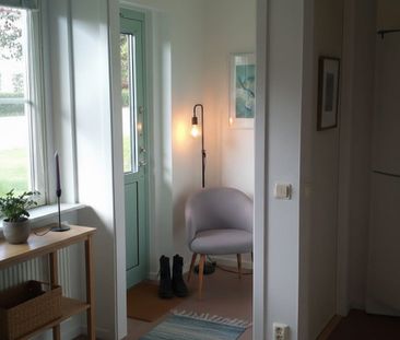 Solberga: Etta i markplan - Photo 5