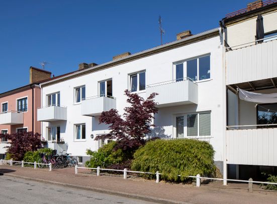 Vengatan 44 - Photo 1