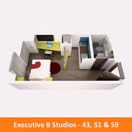 Executive Studio 57,59,61,63,64 - Photo 3