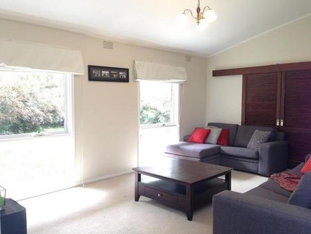 Look No Further - Photo 2