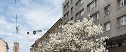 Luminous 3-room apartment in a central location in Basel - Photo 1