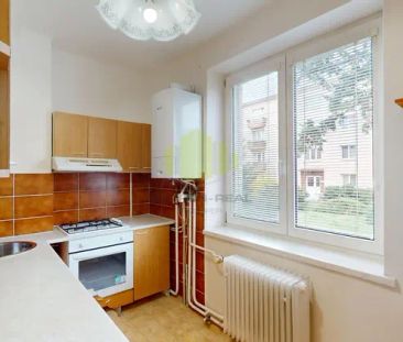 Pronájem útulného bytu 3+1 o ploše 60 m - Fotografie 5