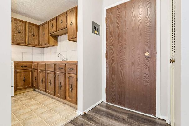 Renovated Suite - 1 Bedroom - Photo 1