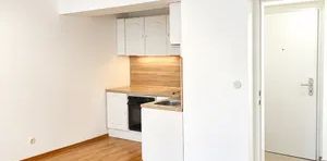 Helle, frisch renovierte 2-Zimmer-Wohnung in ruhiger Lage - 1210 Wien - Photo 2