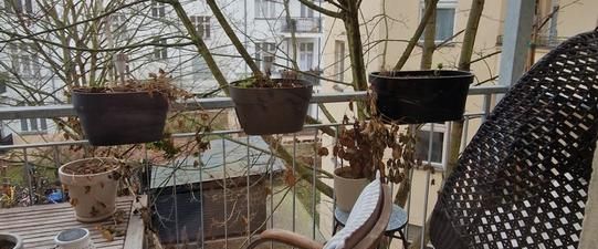 Altbauwohnung Nähe Schloßstraße - Foto 1