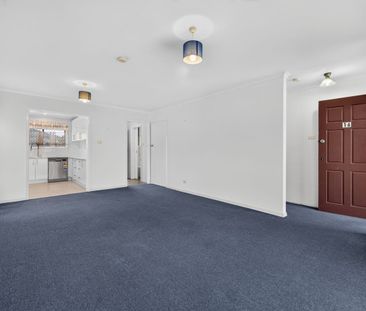 Sunny love nest walking distance to amenities and beach - Photo 2