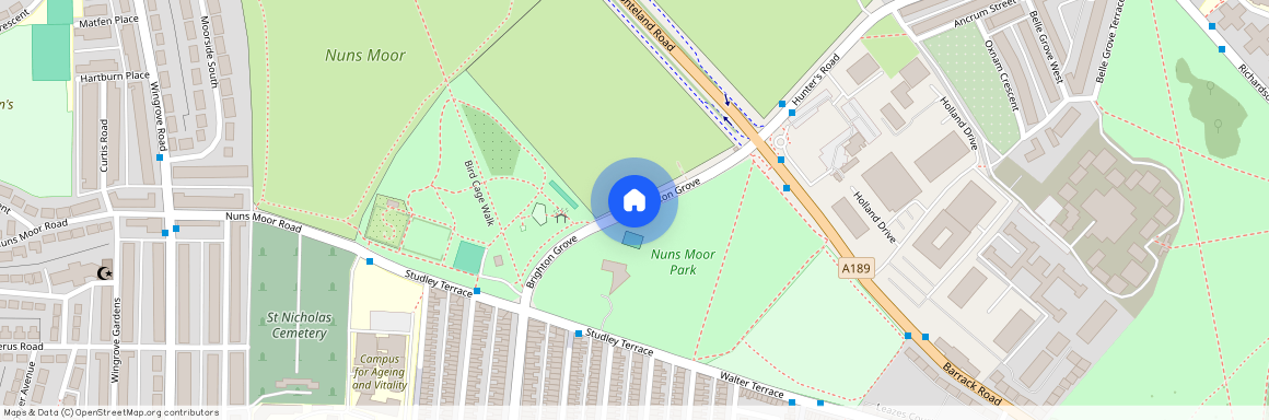 Brighton Grove, Newcastle Upon Tyne NE4