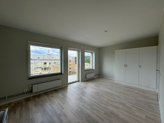 Klättergatan 11 – 1 rok (1704) - Photo 1