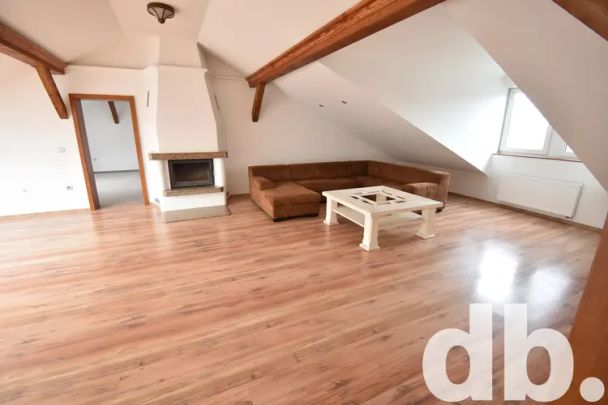 Pronájem byty 4+kk, 240 m - Fotografie 1