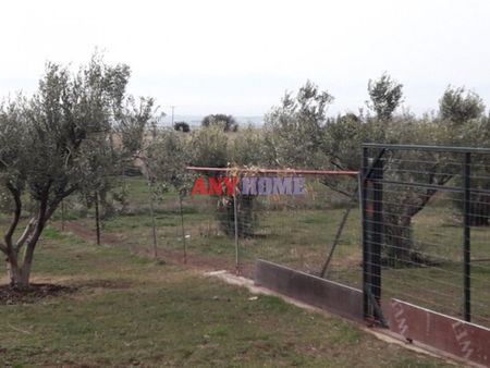 Διαμέρισμα για ενοικίαση Μονοπήγαδο (Βασιλικά) - Photo 2