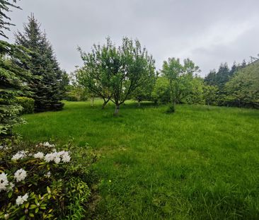 Mieszkanie na wynajem - Photo 1