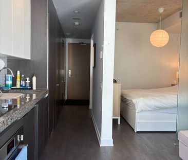 Thompson Residence Lofts 621-629 , #521 - Photo 4