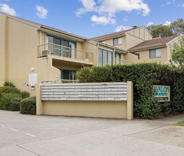 45/53 Meehan McMillan Crescent, Griffith ACT 2603 - Apartment For R... - Photo 6