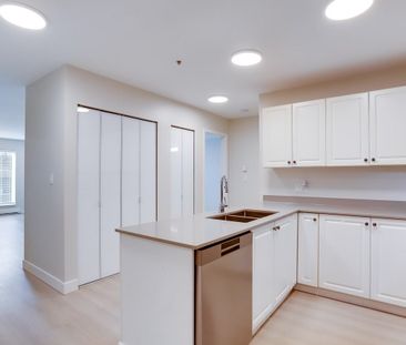 22334 117 Avenue apartment — Maple Ridge, BC (1-Bedroom) - 1 Bedroom - Photo 3