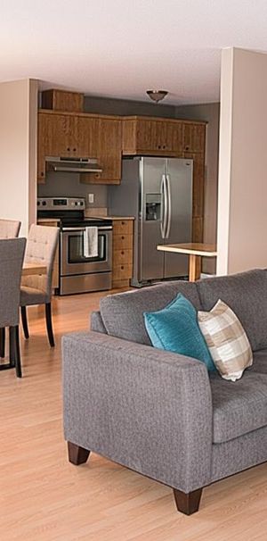 ✨ Magnifique 4 ½ Confort, tranquillité et lumière ! - Photo 1