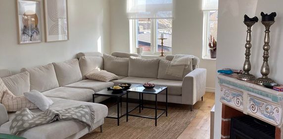 Västra Storgatan, Sölvesborg - Foto 2