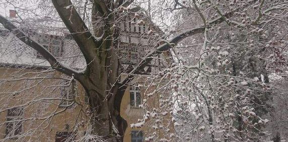 Wunderschöne historische sanierte 4 Raum Wohnung Werdau zu vermieten - Photo 2