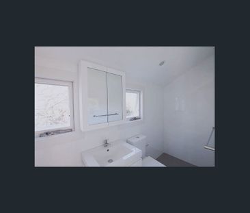 Self contained 1 Bedroom unit close to UNSW - Photo 3